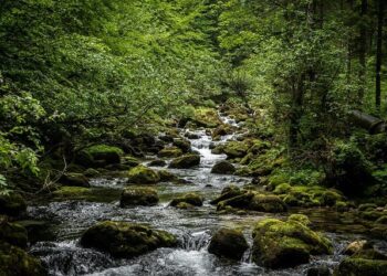 Le triomphe du retour de Corum Origin en France Le triomphe du retour de Corum Origin en France