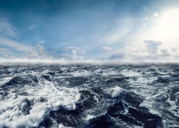 UNOC-3 à Nice : quel avenir pour nos océans ? 
→ 
UNOC-3 à Nice : Quel avenir pour nos océans face aux défis mondiaux ?