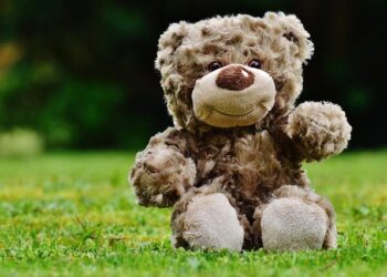 Twinkle Teal Entertainment, créateur de Nebulous Stars, ouvre sa nouvelle filiale en France