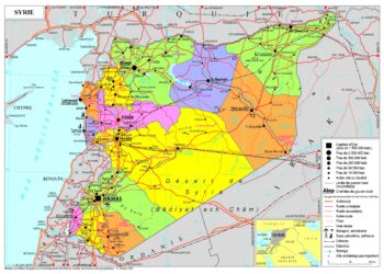 Trois femmes de retour de Syrie condamnées à 10 à 13 ans de prison en France Trois femmes de retour de Syrie condamnées à 10 à 13 ans de prison en France
