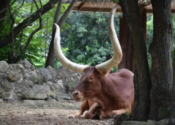 Vivatech 2024: Northern France Takes Center Stage as the Ultimate Innovation Hub