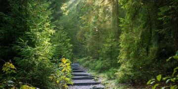 Conquer the Heights: Embark on the Thrilling Trail of Île-de-France Conquer the Heights: Embark on the Thrilling Trail of Île-de-France