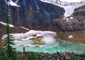 Pourquoi la technologie ne suffira pas à sauver la planète du dérèglement climatique