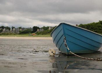 L’université de Strasbourg s’illustre parmi les meilleures de France avec une excellence reconnue en chimie