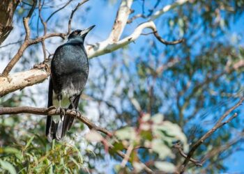 Præmia REIM France Accueille sa Nouvelle Directrice Générale avec Enthousiasme !