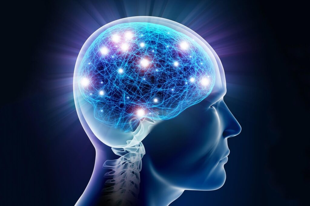 Vivez un week-end d’exception au Mans pour célébrer l’intelligence lors de la fête de la science !