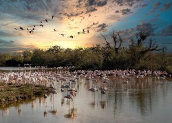 Fête de la Science : Célébrons les talents et les esprits brillants à travers toute la France