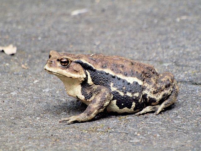 Heartfelt Tribute in Nice’s Moulins District: Community Unites to Honor Victims and Heal Together Heartfelt Tribute in Nice’s Moulins District: Community Unites to Honor Victims and Heal Together