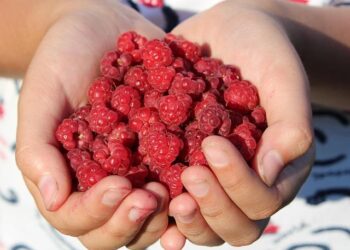 WTW Energizes Generali France Team with Thrilling New Recruitment Opportunities