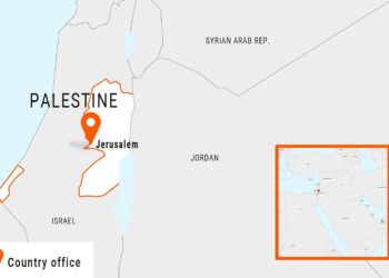 Strasbourg : l’Hôtel de Ville s’illumine aux couleurs du drapeau palestinien pour célébrer la reconnaissance de la Palestine par la France