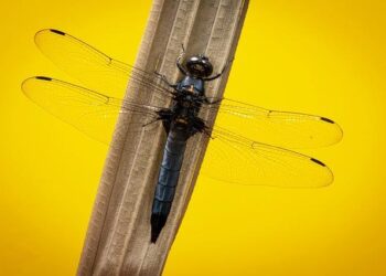 Unveiling the Hottest New Singles from Niro, R3hab, Jey Brownie, and More! Unveiling the Hottest New Singles from Niro, R3hab, Jey Brownie, and More!