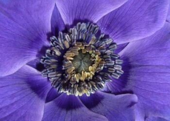 La BU du campus 2 de Caen innove : première en France à inaugurer un fablab créatif — La BU du campus 2 de Caen révolutionne l’innovation avec le tout premier fablab créatif en France ! La BU du campus 2 de Caen innove : première en France à inaugurer un fablab créatif — La BU du campus 2 de Caen révolutionne l’innovation avec le tout premier fablab créatif en France !