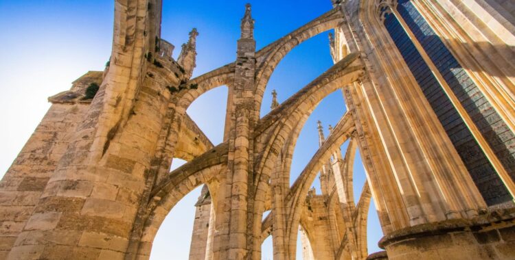 Blazing Wildfires Sweep Through Southern France: Urgent Updates from Narbonne, Marseille, Gard, and Hérault