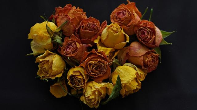 Epic Coupe de France Clash: Tulle FC Takes on Girondins de Bordeaux at Stade Alexandre-Cueille! Epic Coupe de France Clash: Tulle FC Takes on Girondins de Bordeaux at Stade Alexandre-Cueille!