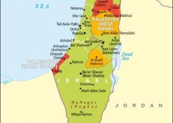 La mairie de Lyon brandit fièrement le drapeau palestinien en signe de reconnaissance La mairie de Lyon brandit fièrement le drapeau palestinien en signe de reconnaissance