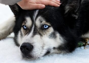 Could Scientific Breakthroughs Be the Key to Finally Defeating Strokes? Could Scientific Breakthroughs Be the Key to Finally Defeating Strokes?