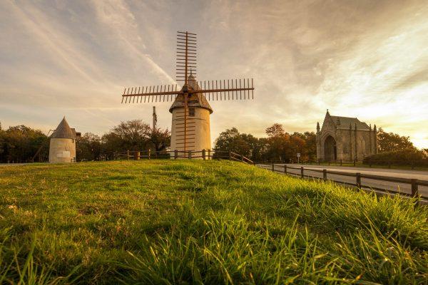 Assistez en avant-première à La Bonne étoile aux Herbiers avec le réalisateur présent ! Assistez en avant-première à La Bonne étoile aux Herbiers avec le réalisateur présent !