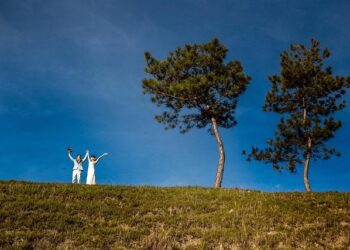 Plongez dans l’intrigue captivante de « Invitation à un meurtre » : le téléfilm incontournable à ne pas manquer ce dimanche soir ! Plongez dans l’intrigue captivante de « Invitation à un meurtre » : le téléfilm incontournable à ne pas manquer ce dimanche soir !