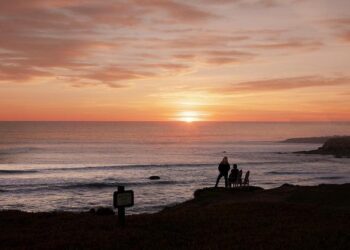 Grande fête pour l’inauguration de l’extension de la ligne 1 ce samedi 18 octobre Grande fête pour l’inauguration de l’extension de la ligne 1 ce samedi 18 octobre
