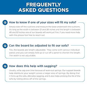 Découvrez la vie quotidienne au cœur de la SPA de Montpellier, l’un des plus grands refuges de France