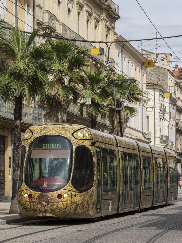 Montpellier : tout ce qu’il faut savoir avant l’ouverture de l’extension de la ligne 1 du tramway