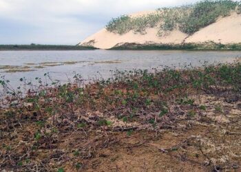 Jul bientôt de retour au Vélodrome : le rappeur marseillais fait une annonce exceptionnelle qui surprend ses fans