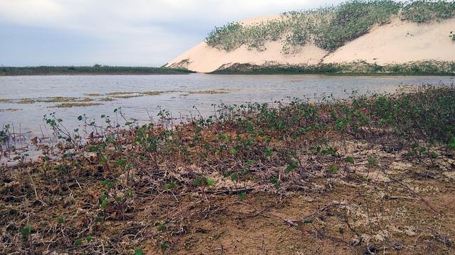 Jul bientôt de retour au Vélodrome : le rappeur marseillais fait une annonce exceptionnelle qui surprend ses fans