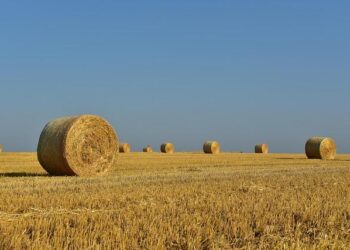 Tir fatal lors d’une soirée à Nantes : l’auteur condamné à deux ans de prison