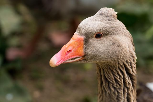 À Toulouse, le parcours inspirant d’Édith Ballot : de l’automobile au ministère devient une véritable success story À Toulouse, le parcours inspirant d’Édith Ballot : de l’automobile au ministère devient une véritable success story