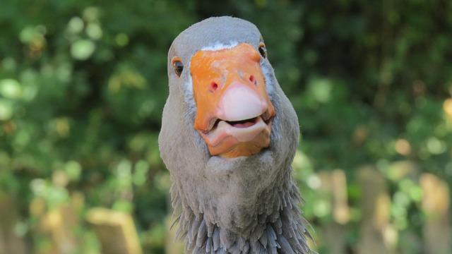 Préouverture Paris : de gros mouvements à prévoir chez Teleperformance, Air France KLM, ArcelorMittal, Veolia, Engie, Legrand, SES et Worldline ! Préouverture Paris : de gros mouvements à prévoir chez Teleperformance, Air France KLM, ArcelorMittal, Veolia, Engie, Legrand, SES et Worldline !