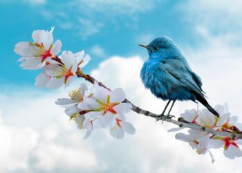 Découvrez le 2e meilleur hôtel de France à Bordeaux : cinéma privé, salle de sport et luxe digne des palaces parisiens Découvrez le 2e meilleur hôtel de France à Bordeaux : cinéma privé, salle de sport et luxe digne des palaces parisiens