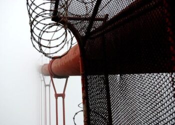 Première mondiale : découvrez le pays qui crée la toute première génération sans tabac ! Première mondiale : découvrez le pays qui crée la toute première génération sans tabac !