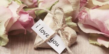 How the Springboks’ Brilliant Strategy Sealed Victory Over France Despite a Red Card