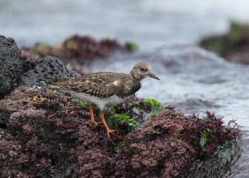« Conditions de détention indignes » : la contrôleure générale réclame la fermeture urgente d’une prison pour mineurs à Marseille
