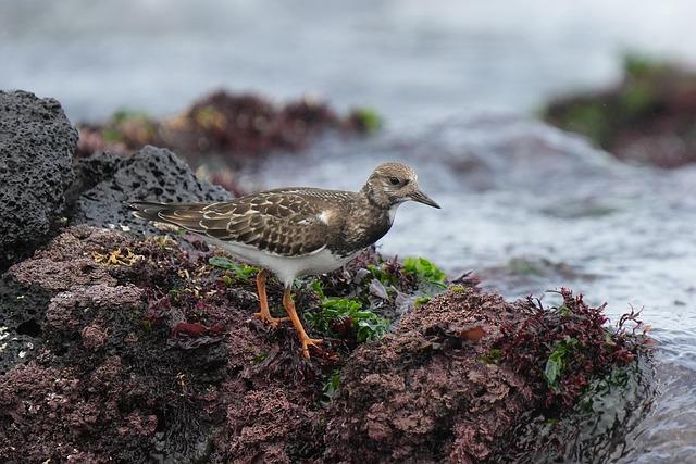 « Conditions de détention indignes » : la contrôleure générale réclame la fermeture urgente d’une prison pour mineurs à Marseille « Conditions de détention indignes » : la contrôleure générale réclame la fermeture urgente d’une prison pour mineurs à Marseille