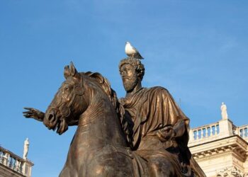 Un dessin animé inspiré de Victor Wembanyama débarque bientôt sur TF1 ! Un dessin animé inspiré de Victor Wembanyama débarque bientôt sur TF1 !