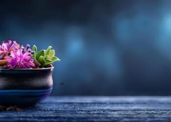 Explorez la vie secrète des salamandres la nuit dans le bois d’Ardennes à Ducey-les-Chéris