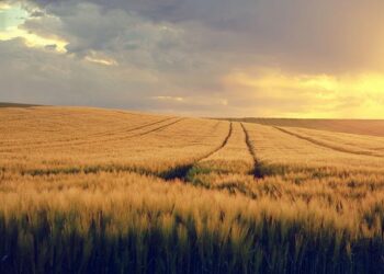 Honoring November 13, 2015: Lyon and Auvergne-Rhône-Alpes Come Together for Meaningful Commemorations