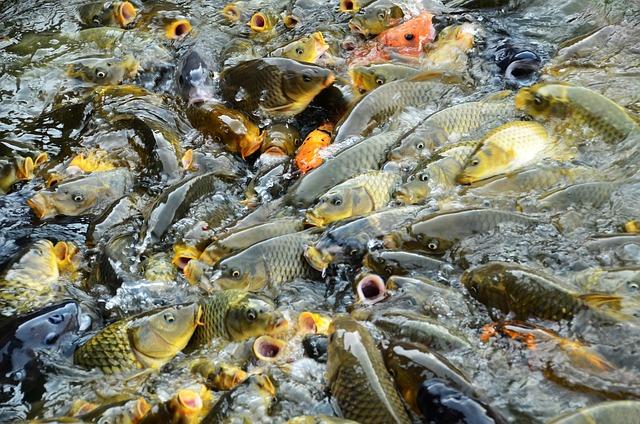 Le V.I.E au Royaume-Uni : profitez d’une opportunité prolongée à deux ans ! Le V.I.E au Royaume-Uni : profitez d’une opportunité prolongée à deux ans !