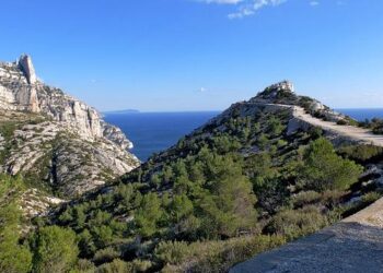 Jujutsu Kaisen, trésor caché : découvrez où et quand regarder le film ! Jujutsu Kaisen, trésor caché : découvrez où et quand regarder le film !