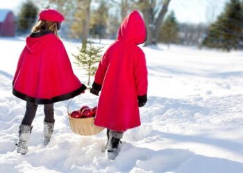 Préparez vos manteaux : une vague de froid polaire s’abat sur la France, boostez vos défenses !