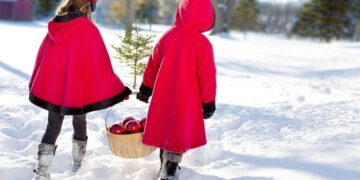 Préparez vos manteaux : une vague de froid polaire s’abat sur la France, boostez vos défenses !