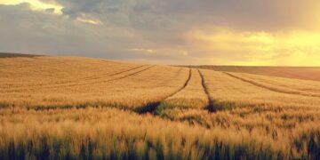 Strasbourg 2026 : l’Afges place le logement au cœur de la campagne municipale