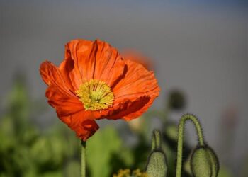 Uncover the Hottest New Singles from Zélie, Henry Moodie, DAYSY, and More!