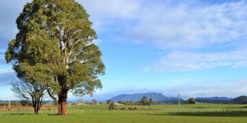 « “Je me sens légitime à incarner l’histoire de France”, affirme Sonia Rolland avec conviction »