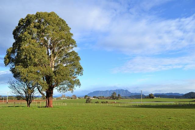 « “Je me sens légitime à incarner l’histoire de France”, affirme Sonia Rolland avec conviction » « “Je me sens légitime à incarner l’histoire de France”, affirme Sonia Rolland avec conviction »