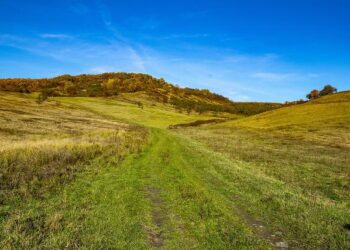 Découvrez la boulangerie-pâtisserie italienne incontournable du Carré d’Or à Nice : maritozzo, croissants gourmands et bien plus encore !