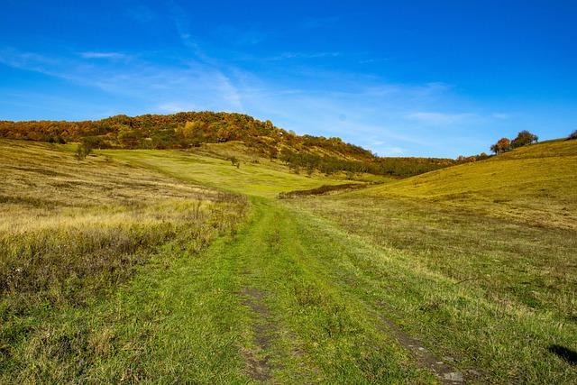 Découvrez la boulangerie-pâtisserie italienne incontournable du Carré d’Or à Nice : maritozzo, croissants gourmands et bien plus encore ! Découvrez la boulangerie-pâtisserie italienne incontournable du Carré d’Or à Nice : maritozzo, croissants gourmands et bien plus encore !