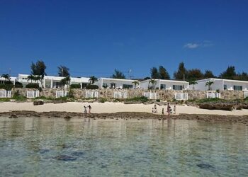 24 visites d’entreprises insolites en France à ne pas manquer ! 24 visites d’entreprises insolites en France à ne pas manquer !