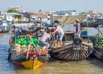 Explorez les Tendances Incontournables du Marché Immobilier de Bureaux à Lyon